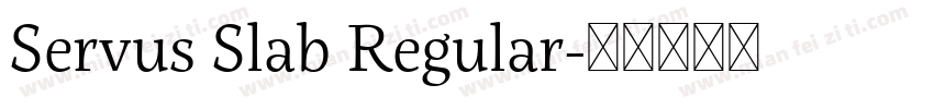 Servus Slab Regular字体转换